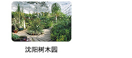 沈陽(yáng)樹(shù)木園